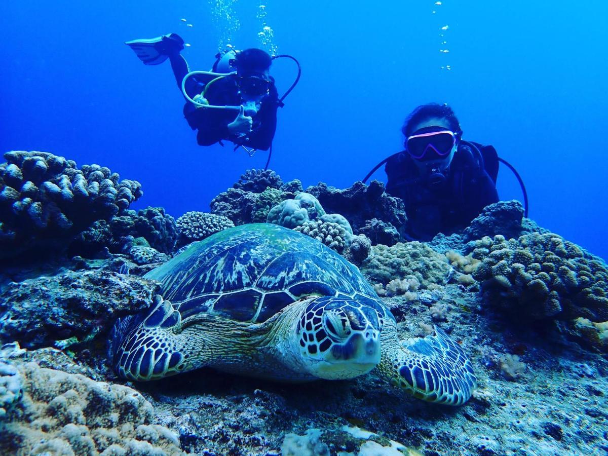 Good Hostel 好棧 Green Island المظهر الخارجي الصورة